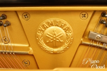 U1A